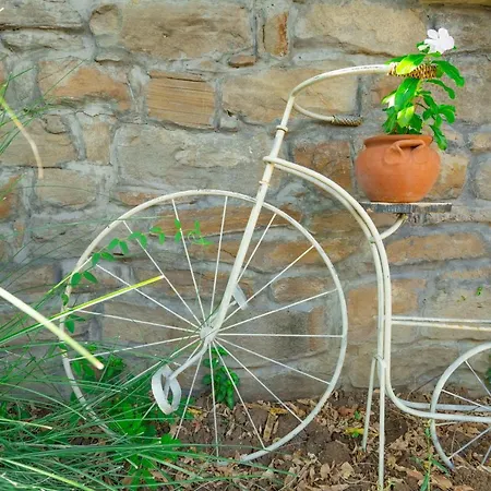 Luxury Private House In Center