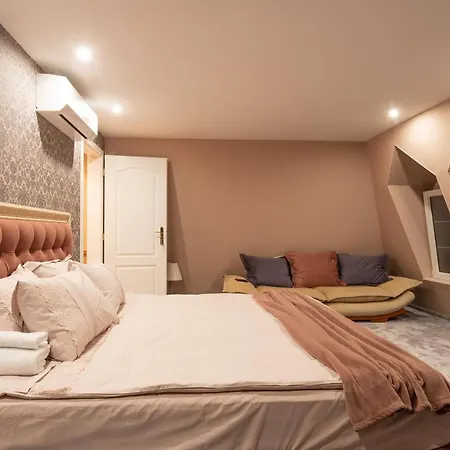 Luxury Private House In Center Apartment