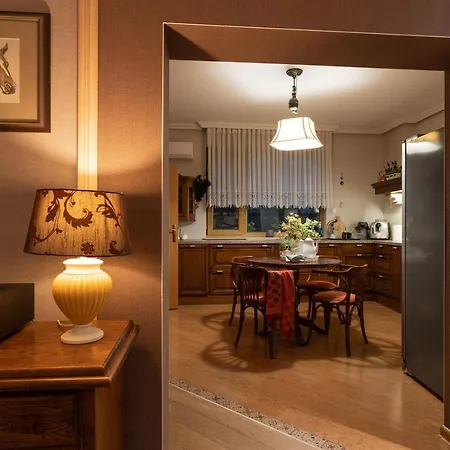 Luxury Private House In Center Apartment