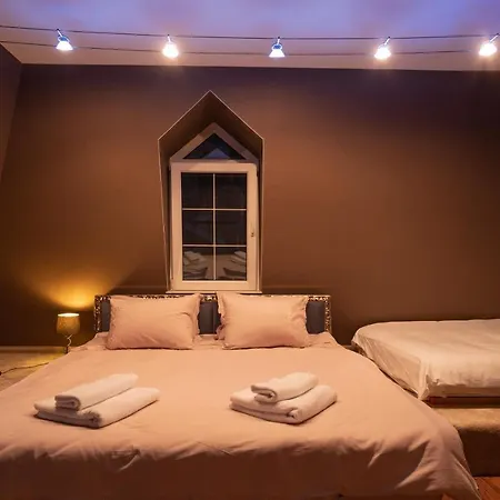 Luxury Private House In Center Apartment