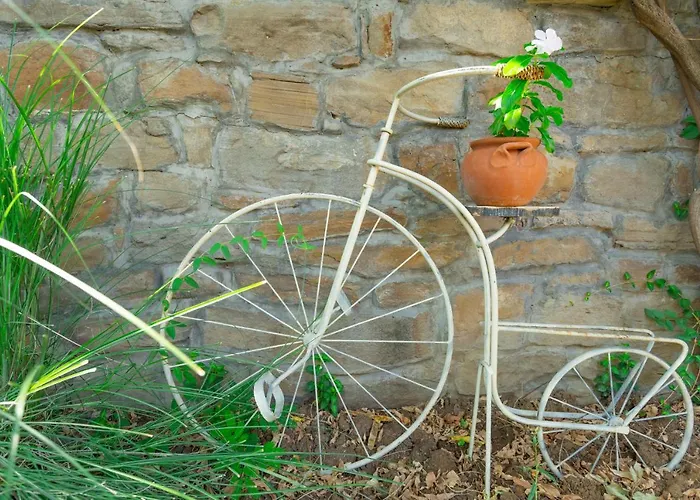 Luxury Private House In Center