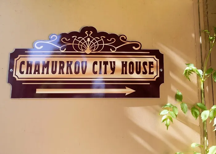 Luxury Private House In Center