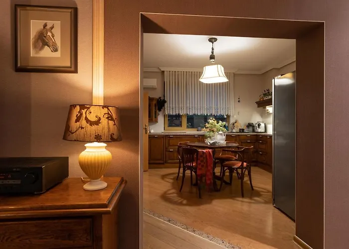 Luxury Private House In Center Apartment